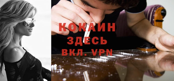 гидра Елизово