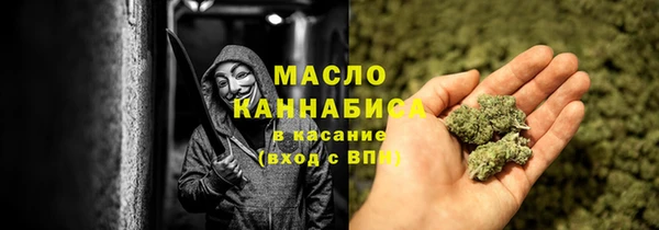 гидра Елизово