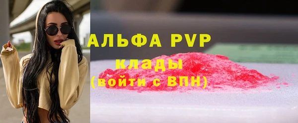 гидра Елизово