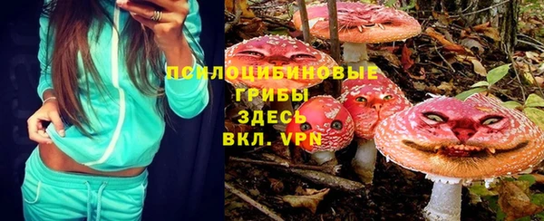 ПСИЛОЦИБИНОВЫЕ ГРИБЫ Слюдянка