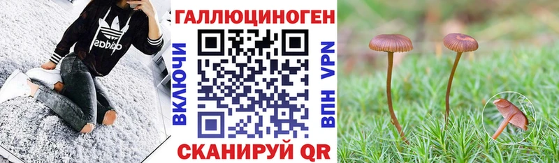 OMG как зайти  Лагань  Галлюциногенные грибы Cubensis  наркошоп 